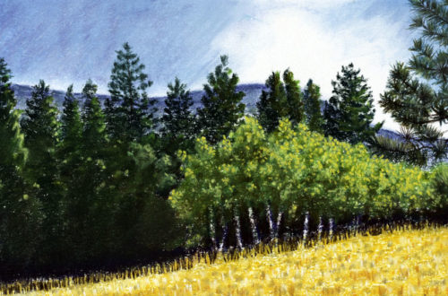 Montana Aspens