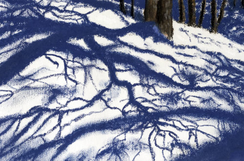 Winter Shadows